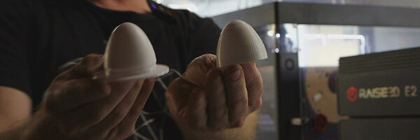 How Texas A&M and Raise3D are Creating Smart Eggs to Advance Wildlife Research