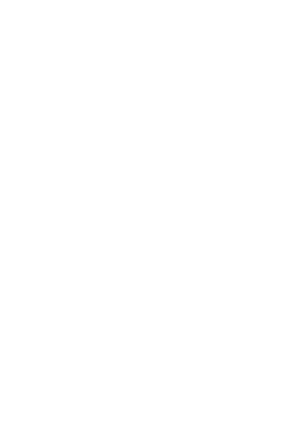 Imprimante Raise3D DF2