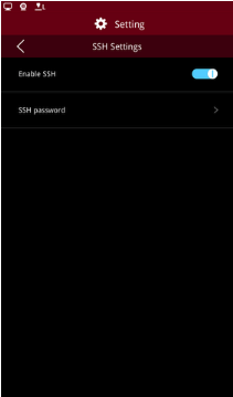 Enable SSH service