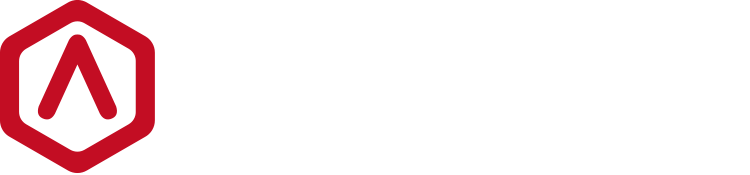 Raise3D Logo